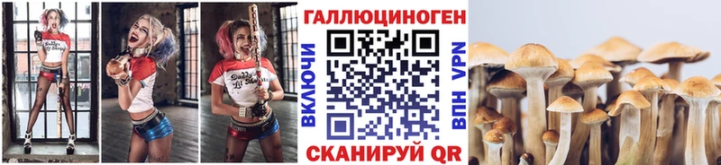 Галлюциногенные грибы Magic Shrooms  Купить закладки  Сурск 